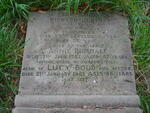 Dacre Banks (Holy Trinity) - R008 Img 008 RIDSDALE BOUD