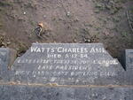 Harrogate (Stonefall Cemetery) - Consecrated Grave 1-37 BELL