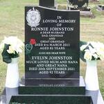 All Cemeteries Grave 1873A JOHNSTON