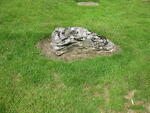 Harrogate (Stonefall Cemetery) - Consecrated Grave 2-700 BARKER