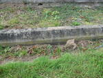 Harrogate (Stonefall Cemetery) - Consecrated Grave 2-742 SHAW