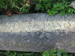 Harrogate (Stonefall Cemetery) - Consecrated Grave 2-855 LAMBTON