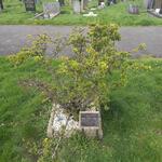 Rothwell Cemetery Grave 2491 ADDY