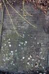 Birstall (Wesleyan Methodist Chapel ) Grave Perimeter-29 NANSON