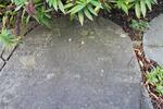 Birstall (Wesleyan Methodist Chapel ) Grave Perimeter-39 NELSON