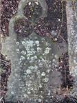 Birstall (Wesleyan Methodist Chapel ) Grave Perimeter-26 SCATES