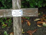 Harrogate (Stonefall Cemetery) - Consecrated Grave 2-320 HEYMANN