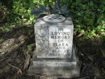 Harrogate (Stonefall Cemetery) - Consecrated Grave 2-259 NEEDHAM