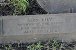 Low Moor (Wesley Place Methodist) Grave New-L24/L25 HANSON
