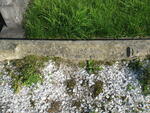 Harrogate (Stonefall Cemetery) - Consecrated Grave 3-965 SIMS