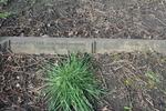 Low Moor (Wesley Place Methodist) Grave Old-B13 FOX