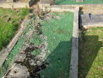 Harrogate (Stonefall Cemetery) - Consecrated Grave 3-1058 LOCKE