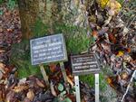 Lawnswood Cemetery - Img 146 MFGD JOHNSON SMITH