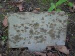 Lawnswood Cemetery - Img 150 RG1 DUXBURY