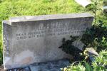 Eccleshill (Prospect Chapel Burial Ground) Grave 487 CARTER