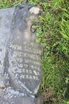 Eccleshill (Prospect Chapel Burial Ground) Grave Plot 3-103 DIXON