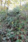 Eccleshill (Prospect Chapel Burial Ground) Grave Row 30-11 SMITH